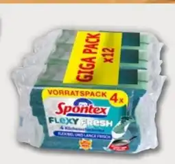 PENNY Spontex Küchenschwämme Angebot