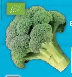 E-Center Bio Brokkoli Angebot