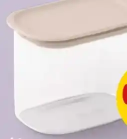 PENNY Brabantia Stapelbarer Angebot