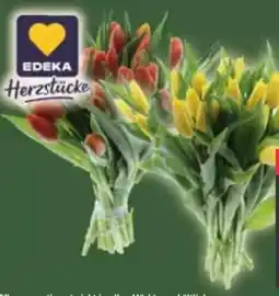E-Center Edeka Herzstücke Tulpen-Strauß XL Angebot