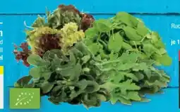 E-Center Bio-Salate Angebot