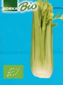 E-Center Edeka Bio Staudensellerie Angebot