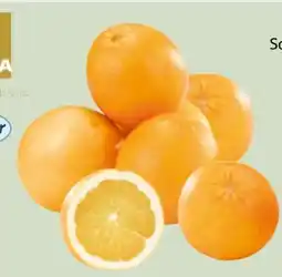 Edeka Xpress SanLucar Orangen Angebot