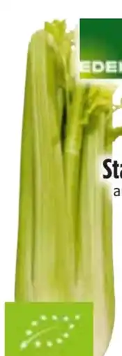 Edeka Edeka Bio Staudensellerie Angebot