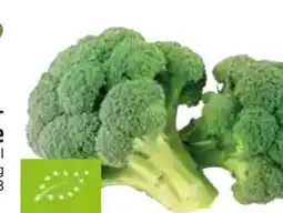 Edeka Bio Brokkoli Angebot