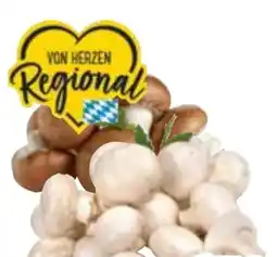Edeka Champignons Angebot