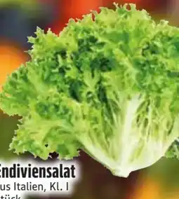 Edeka Endiviensalat Angebot