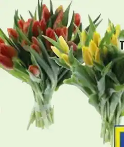 Edeka Tulpenstrauß XL Angebot
