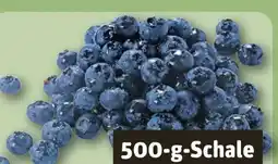 REWE Center Heidelbeeren Angebot