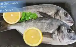 Edeka Dorade Royale Angebot