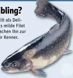 REWE Center Saibling Angebot