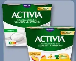 REWE Center Danone Activia Angebot