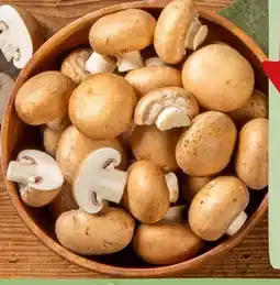 REWE Center Rewe Bio Champignons Angebot
