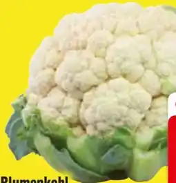 Edeka Blumenkohl Angebot