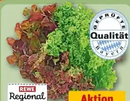 REWE Center Rewe Regional Wurzelsalat Salattrio Angebot