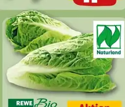 REWE Center Rewe Bio Romana Salatherzen Angebot