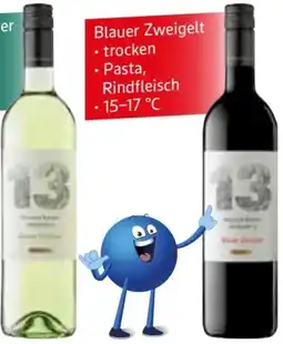 Edeka Winzer Krems Sandgrube 13 Grüner Veltliner Angebot