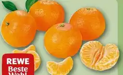 REWE Center Rewe Beste Wahl Mandarinen Angebot