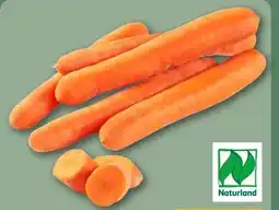 REWE Center Rewe Bio Bio-Speisemöhren Angebot