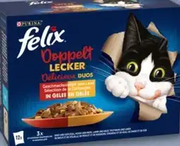 REWE Center Purina Felix Katzennahrung Angebot