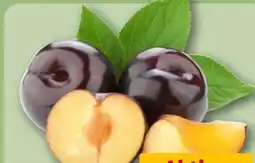 REWE Pflaumen Angebot