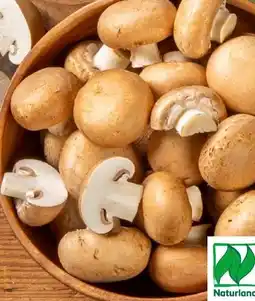 REWE Rewe Bio Champignons Angebot