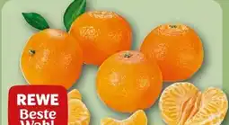 REWE Rewe Beste Wahl Mandarinen Angebot