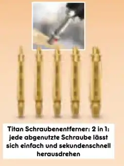 Netto Marken-Discount Smart Tool Titan Schraubenentferner Angebot