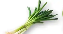 Edeka Lauchzwiebeln Angebot