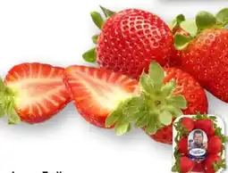 Edeka SanLucar Erdbeeren Angebot