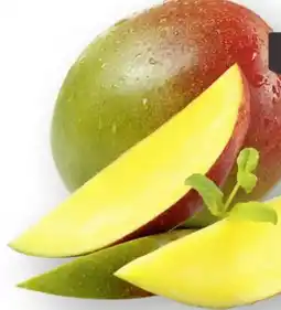 Scheck-in-Center Mango Angebot