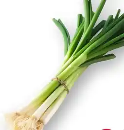 Scheck-in-Center Lauchzwiebeln Angebot