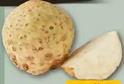 REWE Center Knollensellerie Angebot