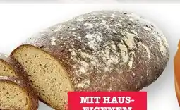 Scheck-in-Center Scheck-in Bäckerei Meister-Roggenlaib Angebot