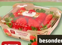 REWE Center Rewe Beste Wahl Erdbeeren Calinda Angebot