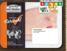 REWE Metzgerei Wilhelm Brandenburg Puten-Schnitzel Angebot