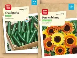 REWE Rewe Beste Wahl Sämereien Angebot