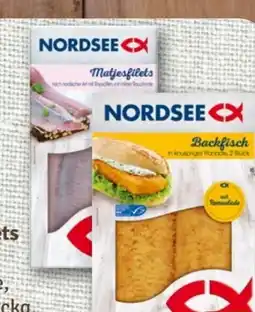 REWE Nordsee Matjesfilet Angebot