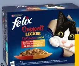 REWE Purina Felix Katzennahrung Angebot