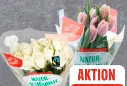 Edeka Frischemarkt Gut & Günstig Moosrosen Angebot