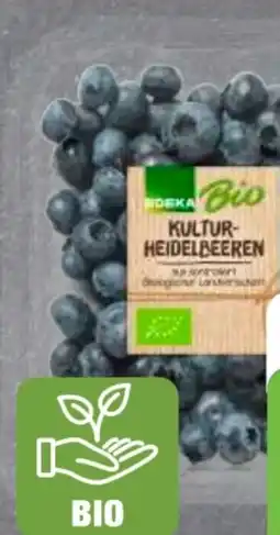 Edeka Frischemarkt Edeka Bio Bio-Kulturheidelbeeren Angebot