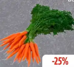 Edeka Frischemarkt Bundmöhren Angebot