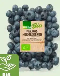 Edeka Edeka Bio Bio-Kulturheidelbeeren Angebot