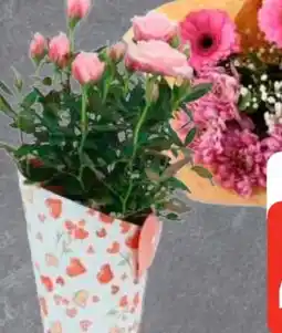 Edeka Floristenstrauß Angebot