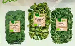 Edeka Edeka Bio Rucola Angebot