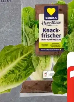 Edeka Edeka Herzstücke Mini Romanasalat Angebot