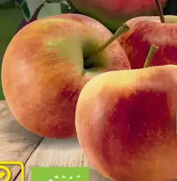 Edeka Bio Tafeläpfel Angebot