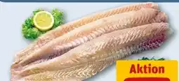 REWE Center Seelachsfilet Angebot