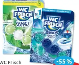 Budni WC Frisch Kraft-Aktiv Angebot