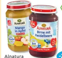 Budni Alnatura Bio-Fruchtgläschen Angebot